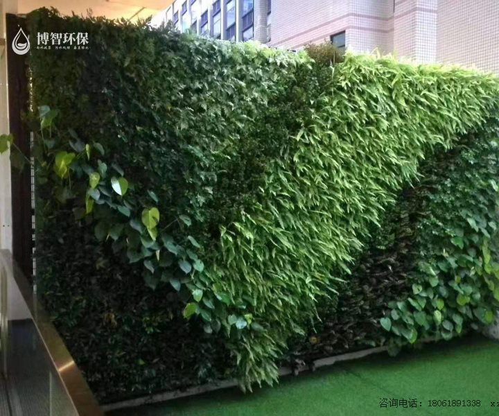 植物墙定制